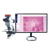 航天科宇 纖維圖像分析儀 廣州建設工程質量檢測儀器